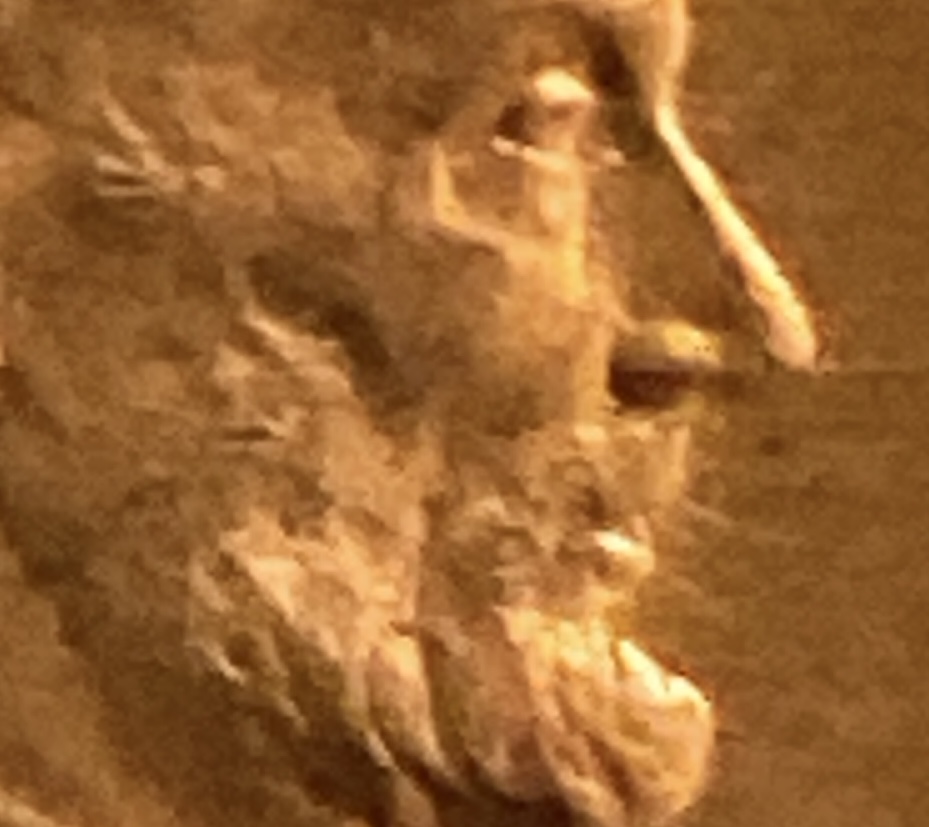 1974-D-LMC-Over-Polished-Features