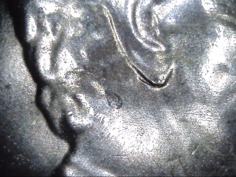 2019-D-LSC-Is-This-A-Doubled-Ear?