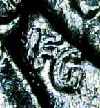 1971-Kennedy-Half-Dollar-Die-Chipping-Off-And-Possible-Other-Errors?