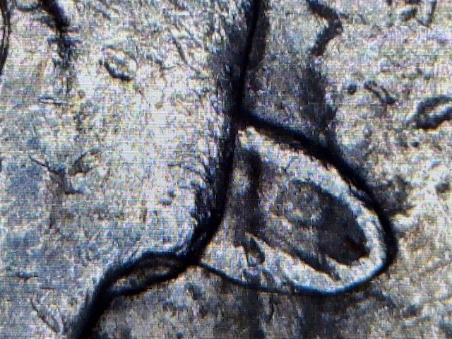 2004-D-Wisconsin-Quarter-Doubling-Errors?-An-R-With-Possible-A-On-It?