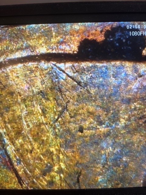 1991-Penny--What-Can-Cause-This?
