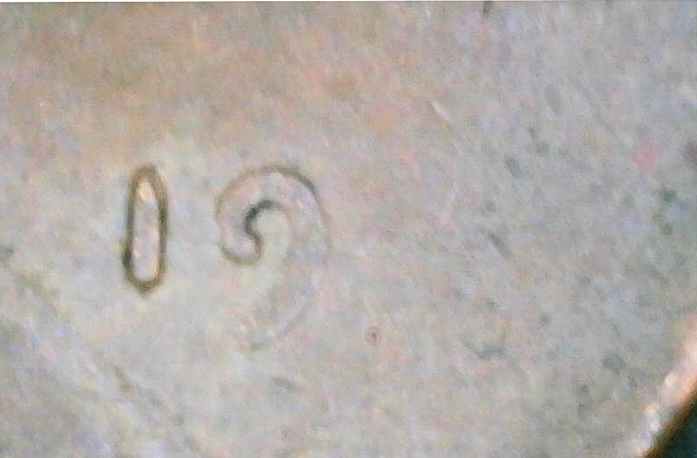 19xx-Lincoln-Wheat-Penny-Help?