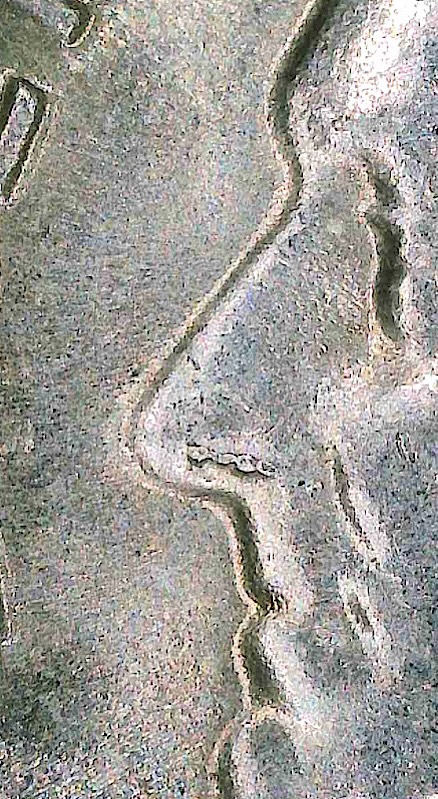 2000-P-Roosevelt-Dime-Die-Chip?