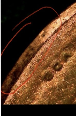 2023-Lincoln--Penny-Errors-The-V-Doubling-Cracks-And-Some-Really-Neat-Stuff