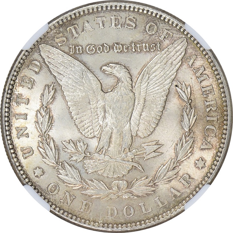 You-Vs-NGC-:-1885-Morgan-Dollar