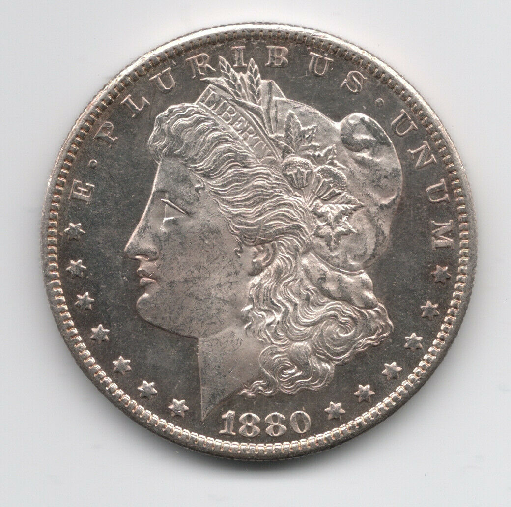 1880-S-Morgan-Dollar-Grading-Opinions,-Pl?