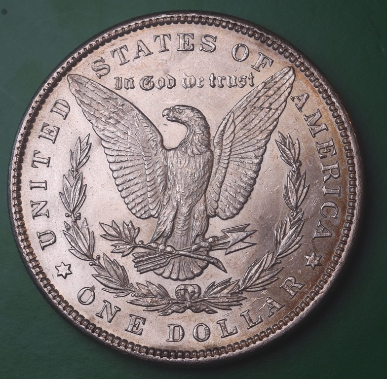 Latest-Purchase---1897-P-Morgan-Dollar
