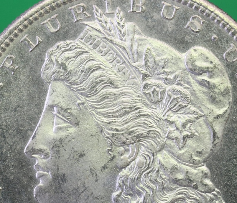 1880---S-Morgan-Dollar---Reflective-Surfaces