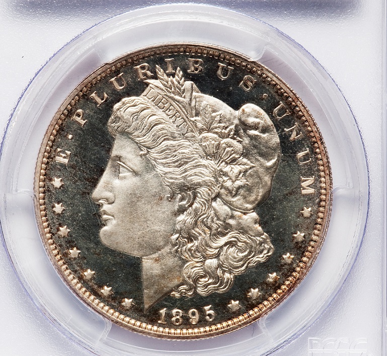 1895-Morgan-Dollar-You-Vs-PCGS-!