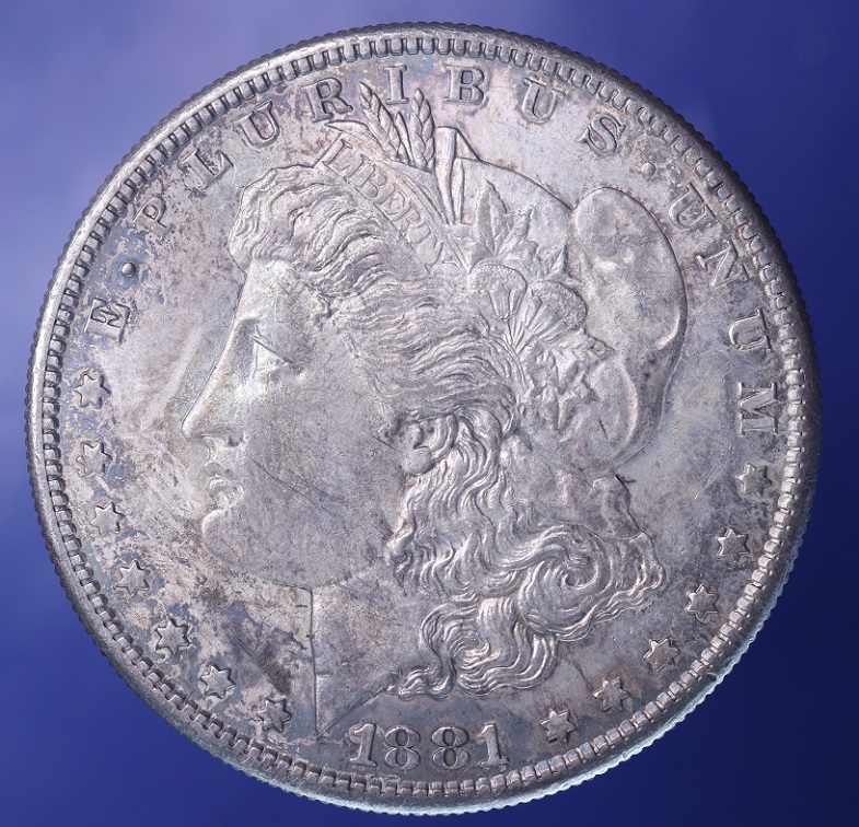 1881---S-Morgan-Dollar-Grade,-Toned