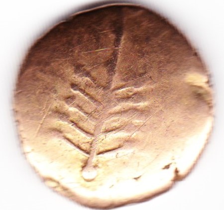 Post-Your-Coins-With-Horses