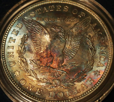 Any-Experts-On-Toned-Morgans?