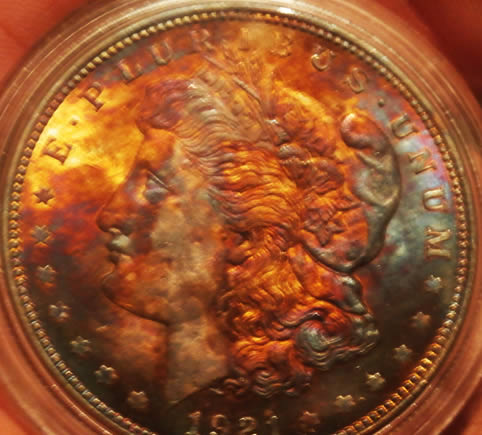 Any-Experts-On-Toned-Morgans?
