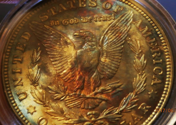 Any-Experts-On-Toned-Morgans?