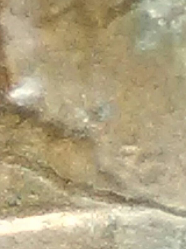 1982-Lincoln-Cent-With-Die-Crack