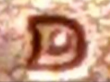 1982-D-Lincoln-Memorial-Cent-DDO-Variations