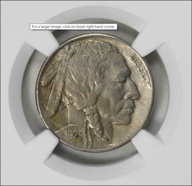 1925-S-Buffalo-For-Grading-Please