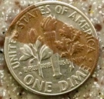 1977-D-Roosevelt-Dime-With-Copper-Stripe-On-Back