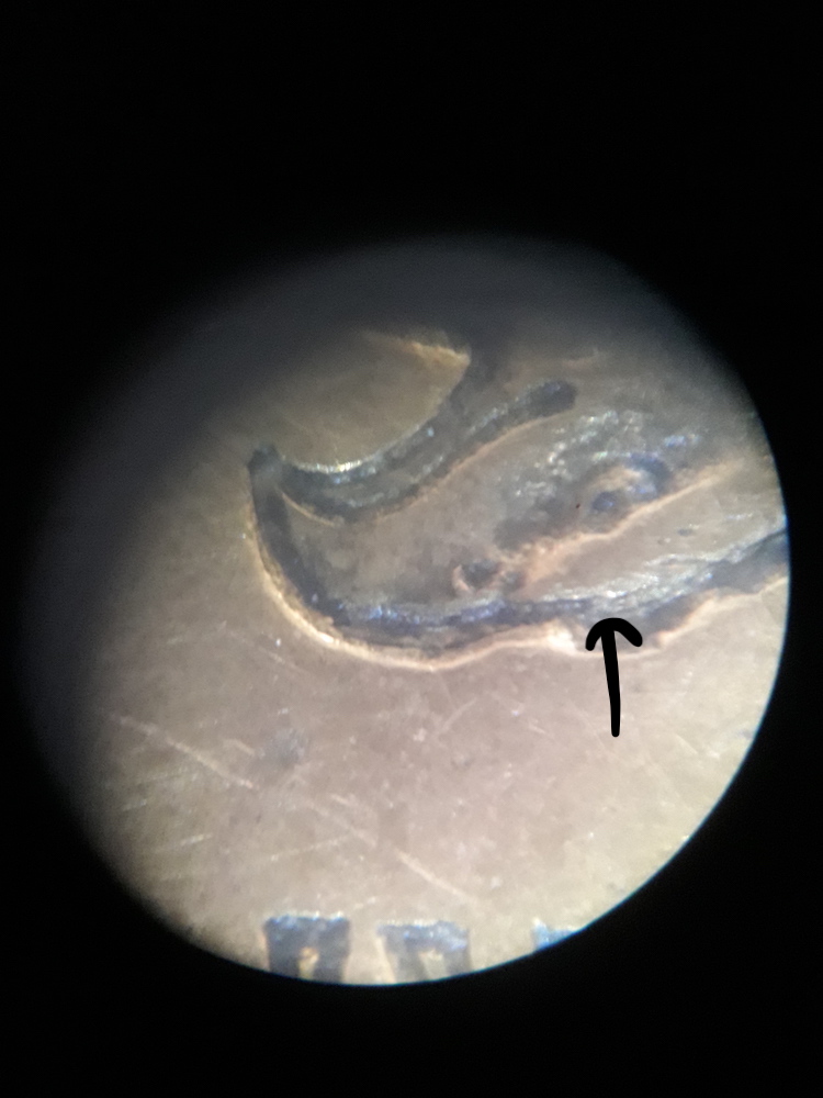 Double-Die-Dilemma,-Under-A-Microscope