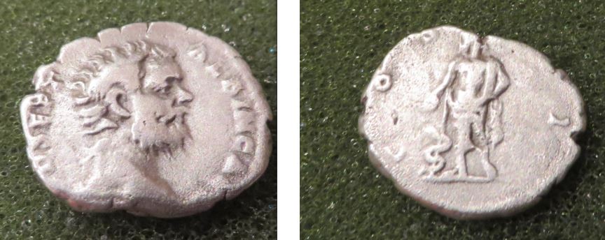 Clodius-Albinus-Denarius-Alexandria-Mint