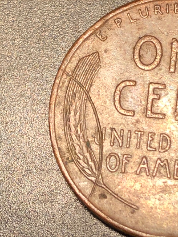 1950-S-Round-Line-At-The-Back-Is-This-An-Error-?
