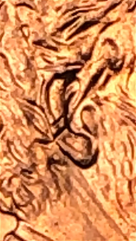2001-Penny-Ear-Cut-Through?-Is-This-And-An-Error-?