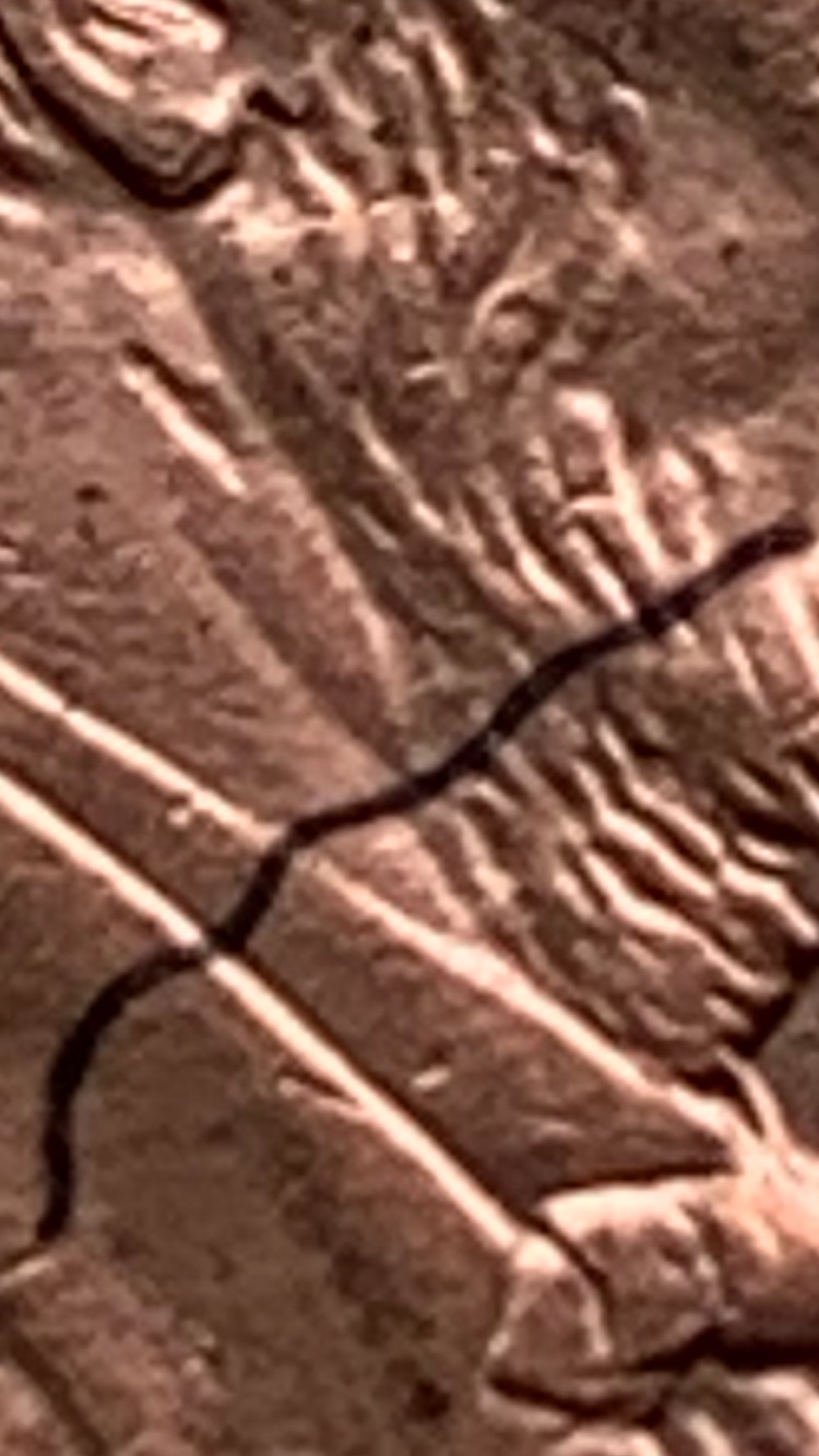 2009-Penny--Line-From-Cheek-To-Collar-Look-Like-An-Ink-I-Soak-It-In-Alcohol-But-Didn't-Come-Out?