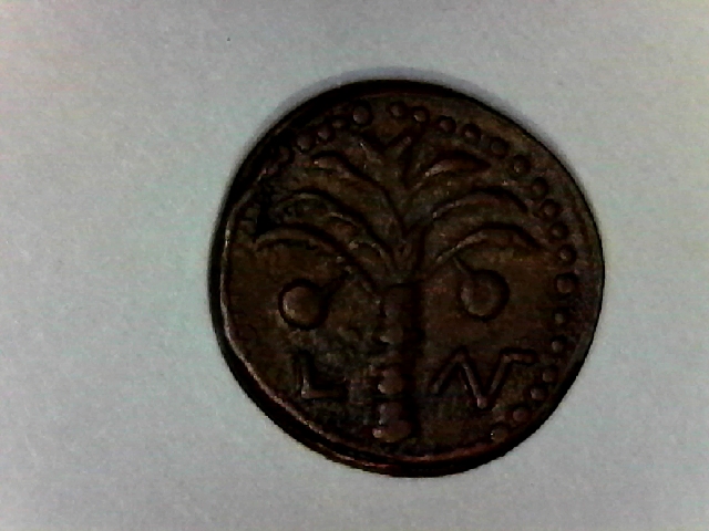 Coins-Taken-Out-Of-Lucite--Reproductions-Or-Real?