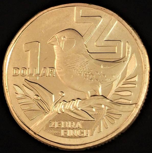Post-Your-Bird-Coins