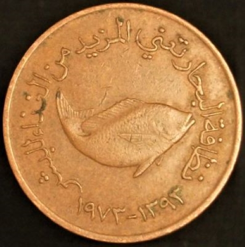Bring-Out-Your-KM#2-Or-Y#2-Coins-For-Show-&-Tell