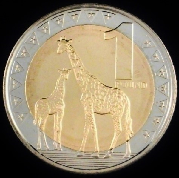 Bring-Out-Your-KM#4-Or-Y#4-Coins-For-Show-&-Tell