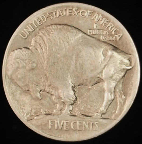 1913-Buffalo-Nickel-Raised-Ground---Grading-Opinion.