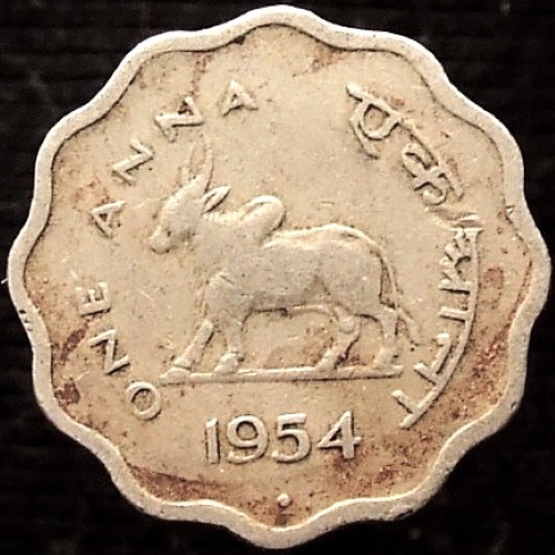 Bovine-Coins---Post-Yours