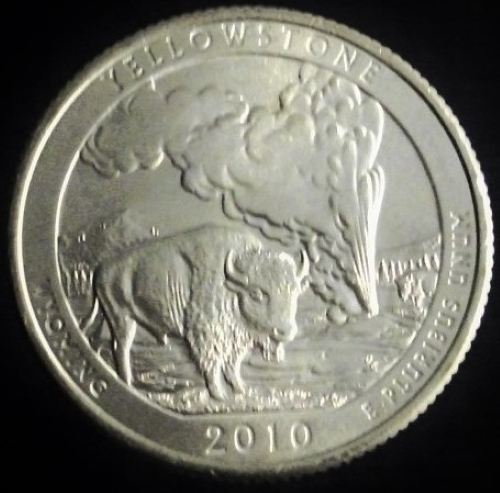 Bovine-Coins---Post-Yours