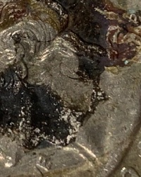 1996-P-Quarter-Brown-And-Black-Why?