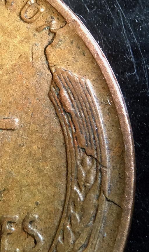 Lincoln-Cent-Finds-Yesterday-Testing-New-Photo-Studio-So-Photo-Heavy