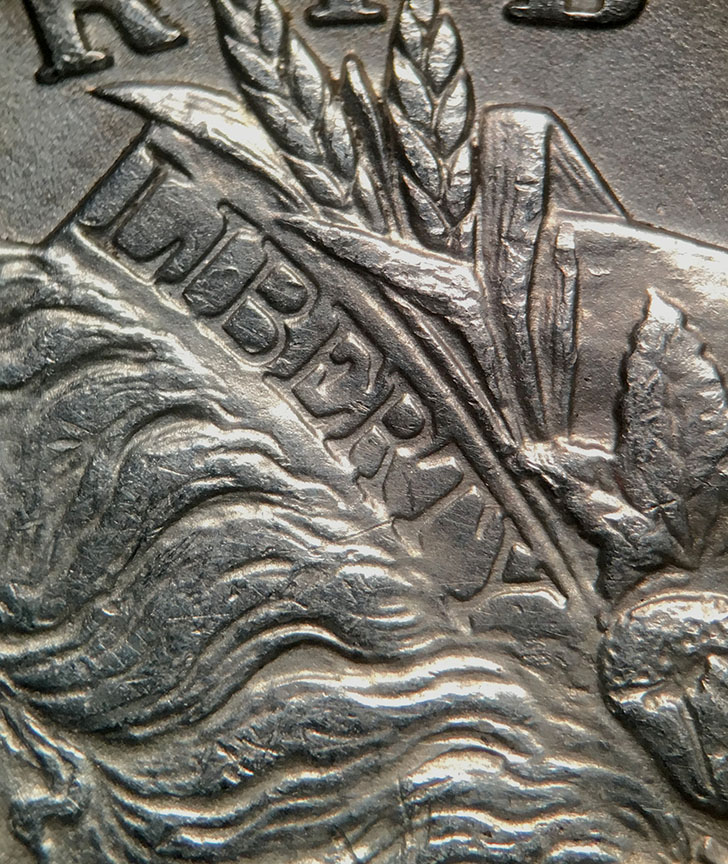 Can-You-Use-VAM-To-Figure-Out-A-Fake-1896-S-Morgan?