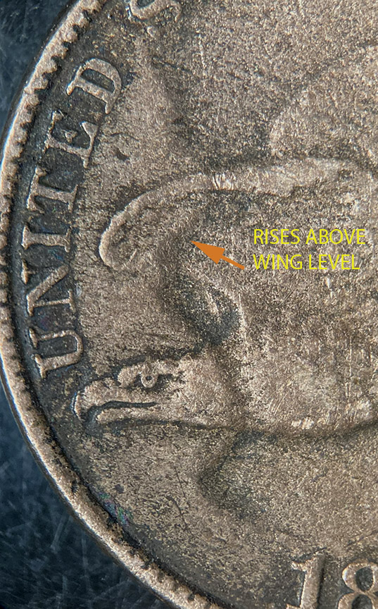 1857-Flying-Eagle-Cent---Clash-Like-Strong-Whatzit?
