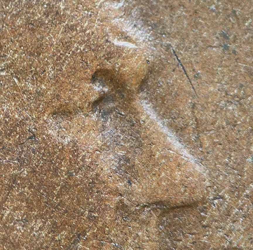 1920-S-Lincoln-Wheat-Cent-Doubled-Die---WDDO-001