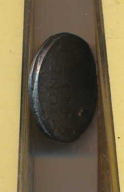 Steel-Penny-Do-I-Have-Road-Kill-Or-Something-Else?