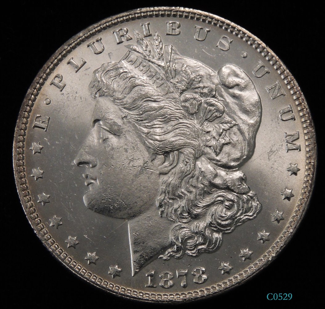 1878-Morgan-7/8-Strong?