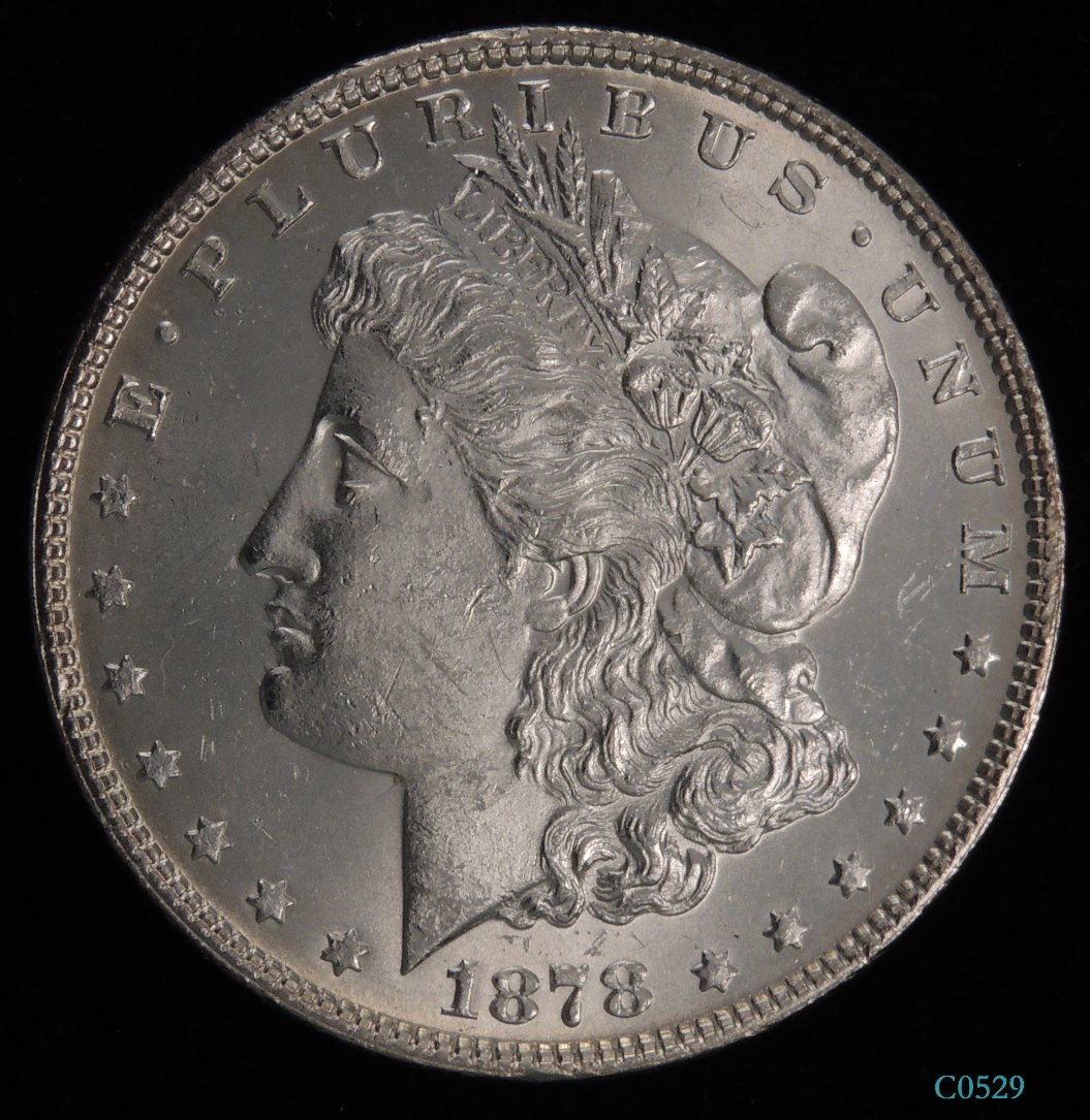 1878-Morgan-7/8-Strong?