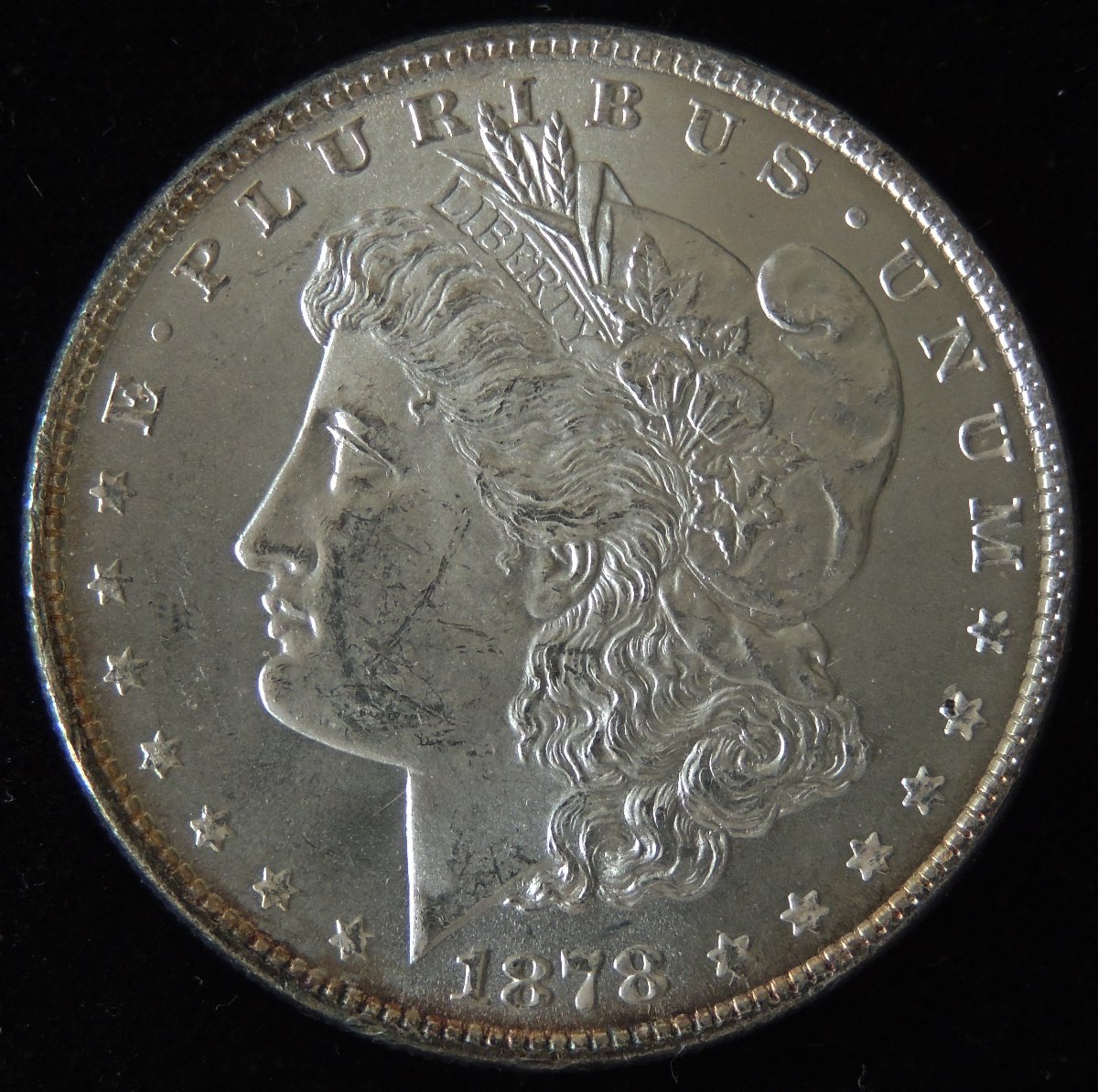 1878-8TF-Morgan-Dollar-For-Your-Review