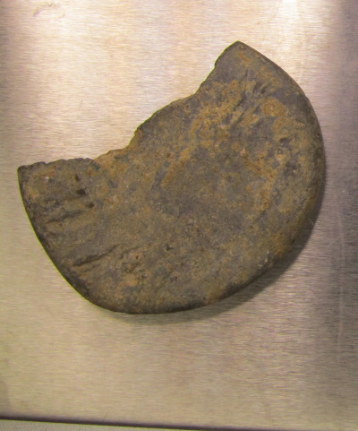 Any-Idea-What-This-May-Be?