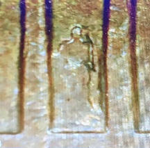 1968-D-Penny-DDR-?-6th-Column