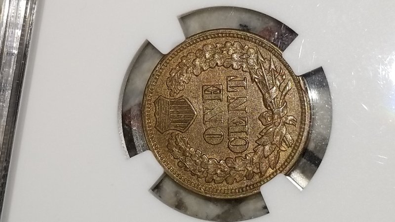 Started-My-Indian-Head-Cents-Collection
