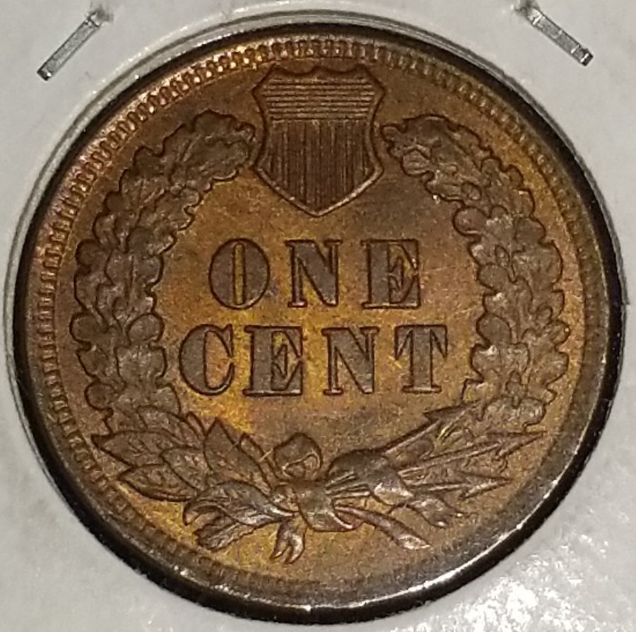 Started-My-Indian-Head-Cents-Collection