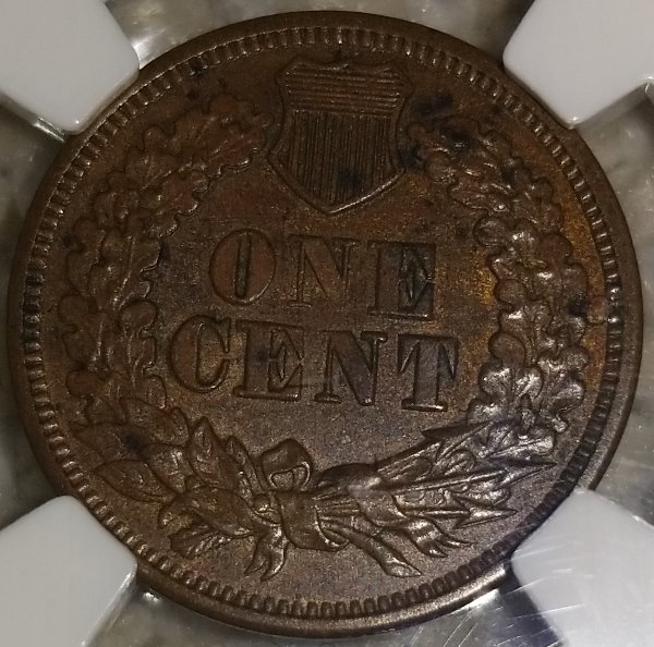 Started-My-Indian-Head-Cents-Collection