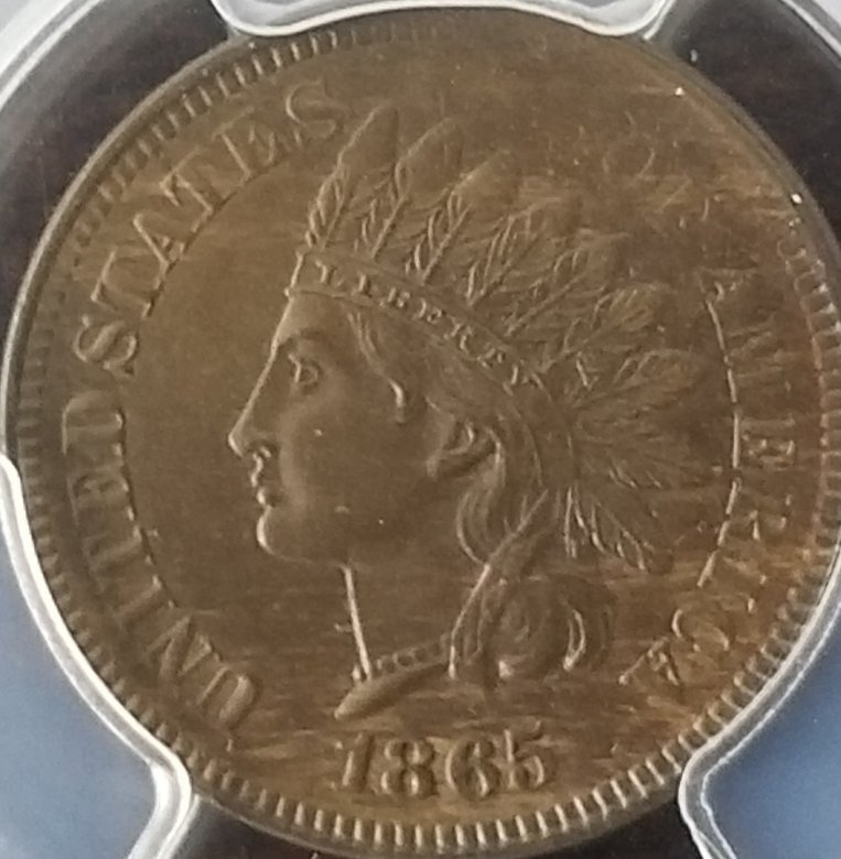 Started-My-Indian-Head-Cents-Collection