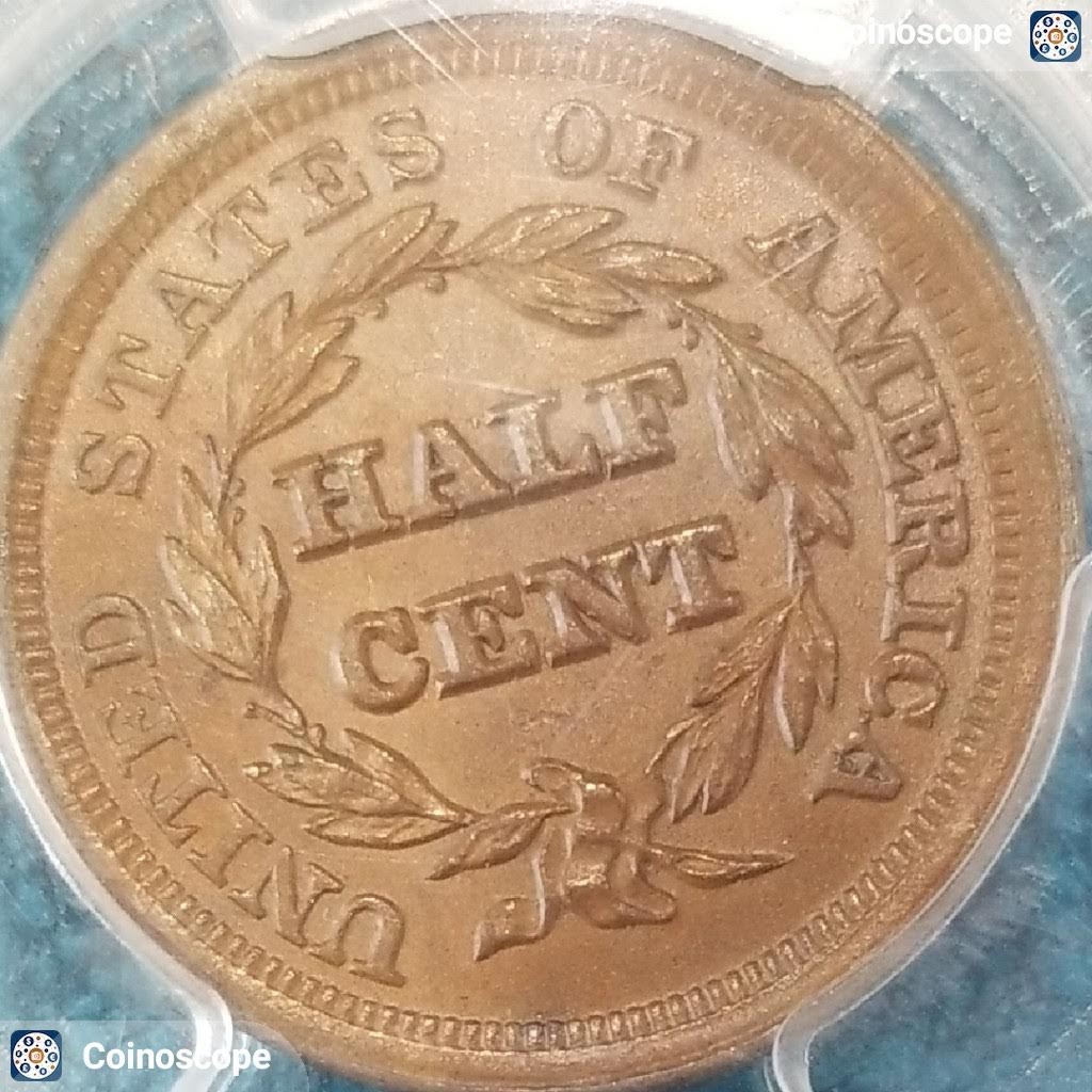 1853-Half-Cent-You-Vs-PCGS